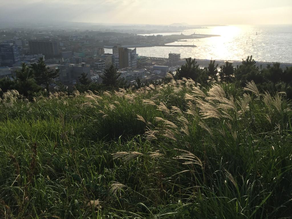 Oh Happy Day Jeju Villa Dış mekan fotoğraf